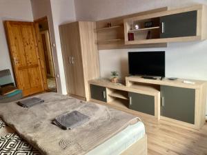 萨尔瓦尔GANCZ APARTMAN的客房设有一张床和一台平面电视。