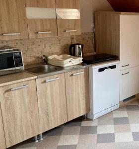 萨尔瓦尔GANCZ APARTMAN的厨房配有水槽和微波炉