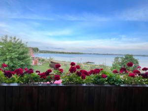 VievisLakeview Retreat in Vievis的 ⁇ 上一束红玫瑰,享有水景