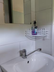 梅斯蒂亚Village House的浴室水槽设有镜子和水龙头
