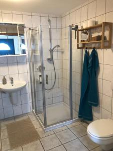 科布伦茨Moselidylle und Cityflair - Ferienwohnung Beth的带淋浴、卫生间和盥洗盆的浴室