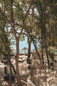 锡罗洛Casacon Sirolo的海滩上一群树木,上面有桌子和遮阳伞