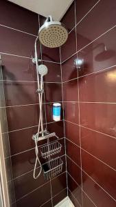 里斯本Charming apartment in Lisbon的浴室设有红色瓷砖和淋浴。