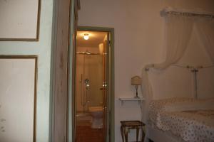锡耶纳B&B La Fontanina的一间卧室设有淋浴、一张床和一个卫生间。