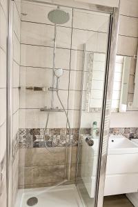 圣康坦Les Appartements de la Nef d'Or的浴室里设有玻璃门淋浴