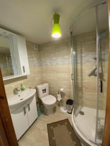 MerkinėRYTO GARSAI的带淋浴、卫生间和盥洗盆的浴室