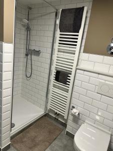 卡尔斯鲁厄Ochsen-Durlach的带淋浴、卫生间和盥洗盆的浴室