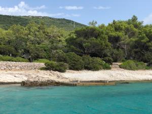 木洛希尼Casula Mediterranea的小岛,有树木和蓝色的水