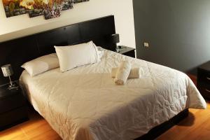 齐克拉约瓦内托姆酒店的一张带白色床单的床和两个枕头