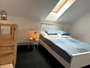 兹林BREZA HOUSE apartments的一间卧室配有一张带蓝色枕头的床和一张桌子