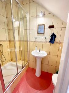 弗瓦迪斯瓦沃沃Promyk的一间带水槽、淋浴和卫生间的浴室