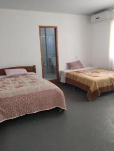 因比图巴POUSADA DA PONTE IBIRAQUERA的一间卧室设有两张床和淋浴。