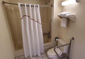 科尼利厄斯Red Roof Inn & Suites Cornelius - Lake Norman的带淋浴帘和卫生间的浴室