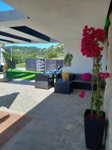 塞洛里库迪巴什图Casa de Silvares的带沙发和红色鲜花的客厅