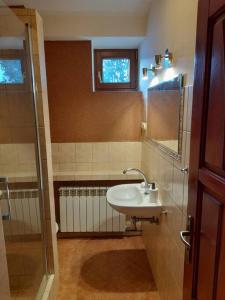 克拉科夫Bronowice- parter domu的一间带水槽和淋浴的小浴室