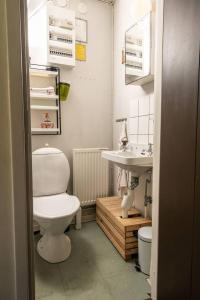 斯塔德Litet gathus mitt i Ystad的一间带卫生间和水槽的浴室