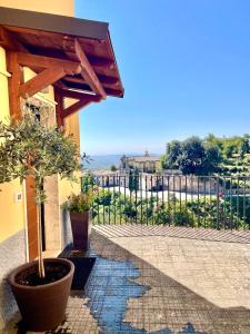 卡普拉罗拉Casa Checca appartamenti per vacanze的一个带盆栽和围栏的庭院