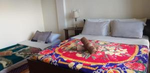 BajawaBajawa-Roo Hotel的床上有五颜六色的毯子