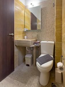 FaraíHelios Guest House的一间带卫生间、水槽和镜子的浴室