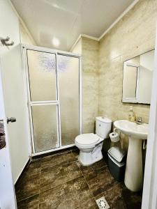 圣安德烈斯Palmare House的一间带卫生间和水槽的浴室