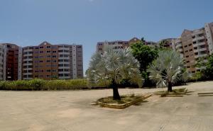 PampatarLo mejor de isla Margarita的两棵棕榈树,位于停车场,有楼房