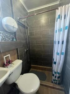 纳塔列斯港Hostel 53 Sur的浴室配有卫生间、盥洗盆和淋浴。