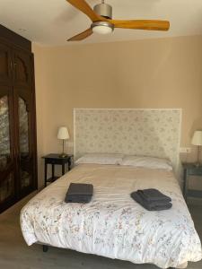 莱昂VISTAS A SANTO DOMINGO的一间卧室配有一张床,上面有两条毛巾