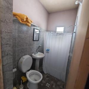 卡塔马卡El gumer的浴室配有卫生间、淋浴和盥洗盆。