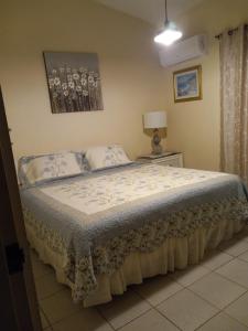 阿雷西博Casa de Campo Rio Arriba的一间卧室配有一张床和一张桌子上的台灯