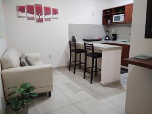 坦皮科Departamento México的带沙发的客厅和厨房