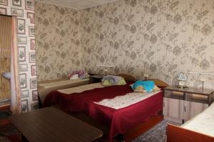 卡拉科尔Guest House on Derbisheva的一间卧室设有两张床和壁纸墙