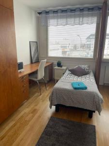 托尔尼奥Luxury 2-3BR Tornio city Apparment的一间卧室配有一张床、一张书桌和一个窗户。