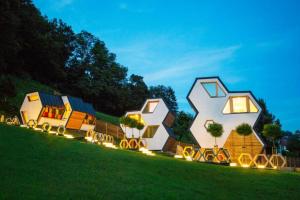莫济列Honeycomb Chalets And Apartments Mozirje - Happy Rentals的一群房子坐在田野上