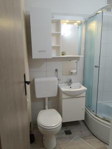 萨格勒布Studio Lara的浴室配有卫生间、盥洗盆和淋浴。