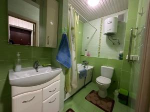 (( Turksib ))Однокомнатная квартира напротив Аэропорта Алматы的绿色浴室设有水槽和卫生间