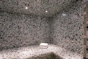 安特卫普安特卫普皇冠假日酒店的浴室设有瓷砖淋浴和卷厕纸。