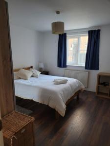 伦敦Comfortable Two Bedroom Modern Apartment的一间卧室配有床和蓝色窗帘的窗户