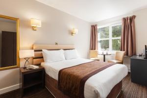 阿罗柴尔阿罗柴尔酒店 - 定制酒店的一间设有大床和窗户的酒店客房