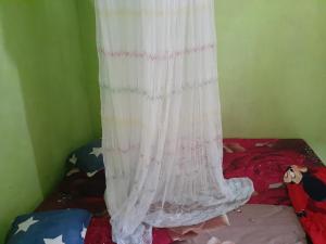 武吉拉旺Jhony's Backpacker-Guest House的一间卧室配有床和窗帘