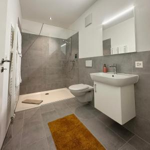 伊兰茨拉提亚酒店的一间带水槽、卫生间和淋浴的浴室