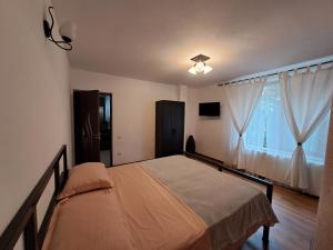 AfumaţiPensiunea Theo Enelid的一间卧室设有一张大床和一个窗户。