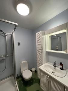 塞济斯菲厄泽Cozy apartment in Seydisfjordur的一间带卫生间、水槽和镜子的浴室