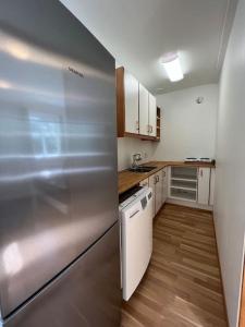 塞济斯菲厄泽Cozy apartment in Seydisfjordur的厨房配有白色橱柜和不锈钢冰箱