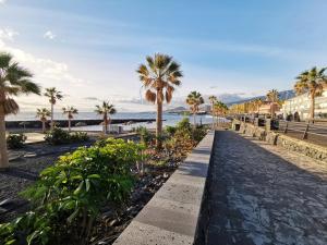 坎德拉里亚Home2Book Attic Terrace Apt Charming Ocean View的沿着棕榈树和大海的海滩走道
