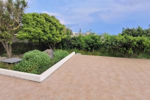 利帕里Casa Eoliana的庭院设有长凳和一些灌木和树木