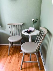 Norddal佩崔尼斯酒店的两张椅子和一张桌子,桌子上放着一本书