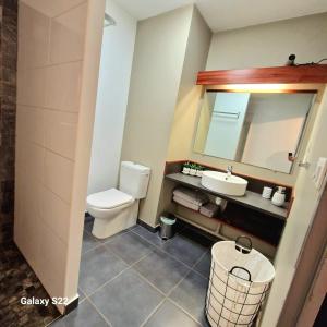 圣勒Studio Leu Loft的一间带卫生间、水槽和镜子的浴室