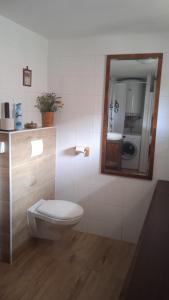 斯特拉科尼采Apartmán Malá Turná的一间带卫生间和镜子的浴室