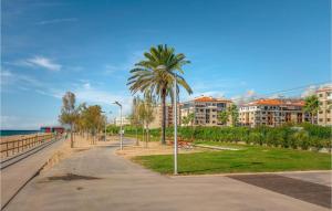 皮内达德马尔Amazing Apartment In Pineda De Mar With Wifi的海边公园里的棕榈树
