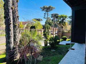 卡内拉Residencial Pine House的种有棕榈树和围栏的花园